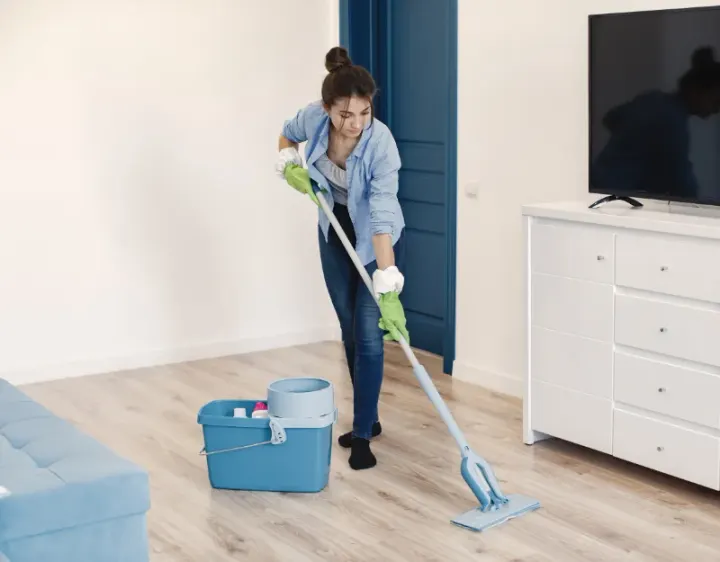 Femme de ménage Ségry